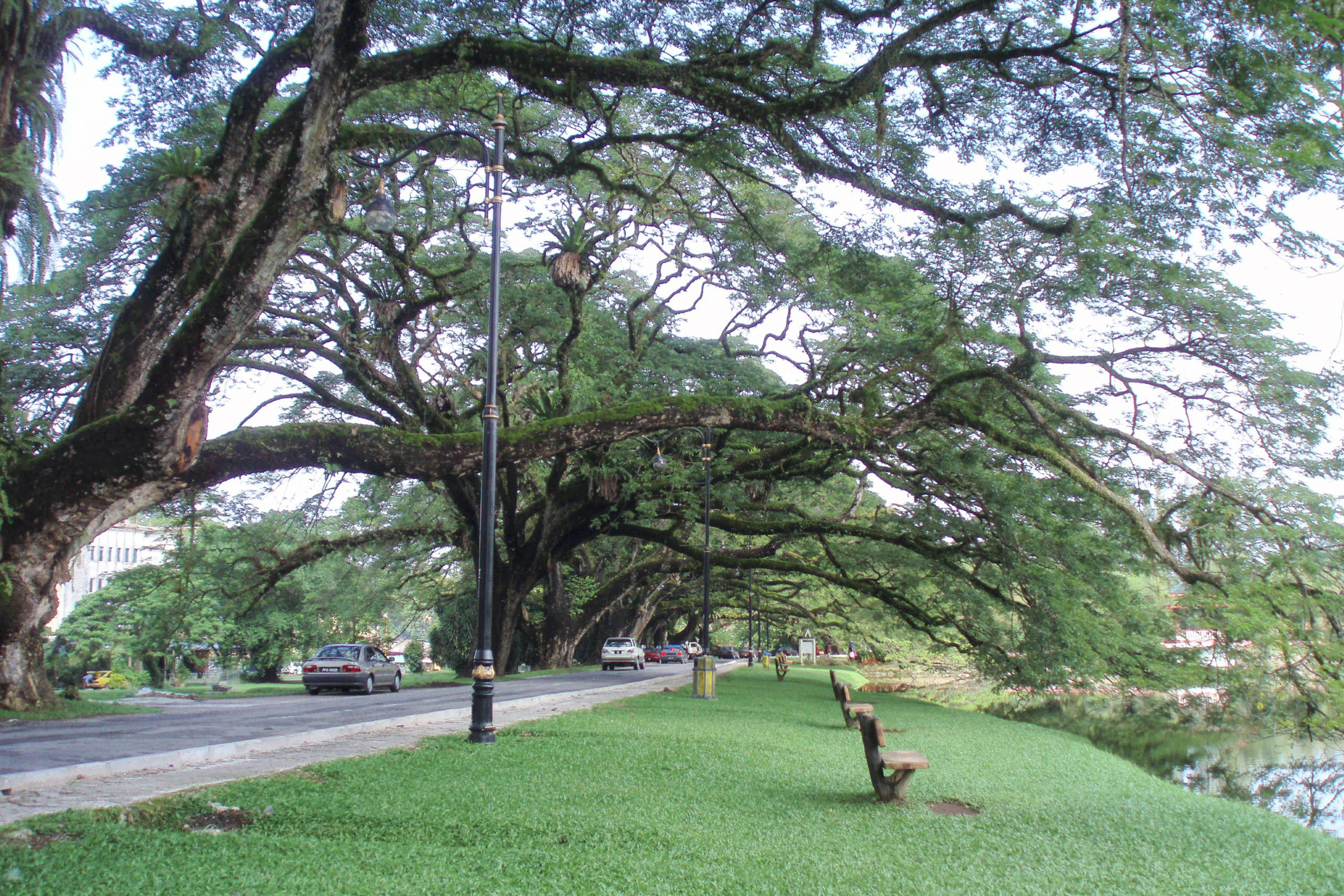 taiping (3).webp